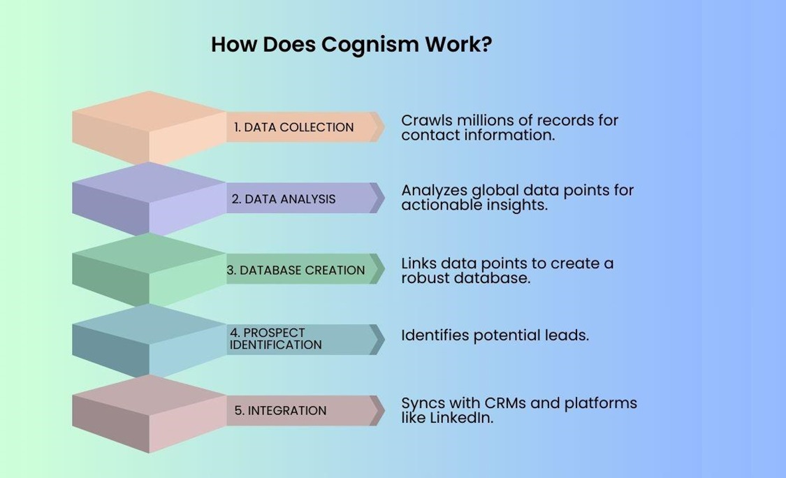 How Does Cognism Work?