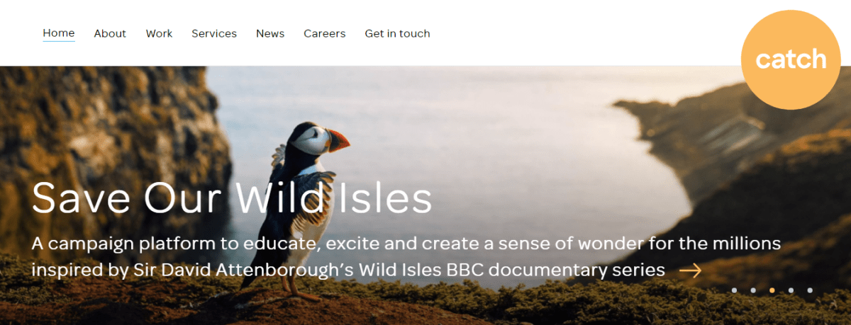 Catch-Digital-Limited