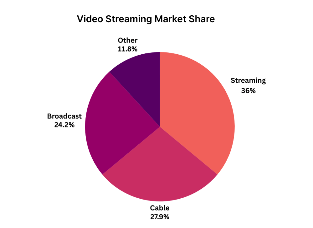 Statistics for the Top Movie Streaming Apps