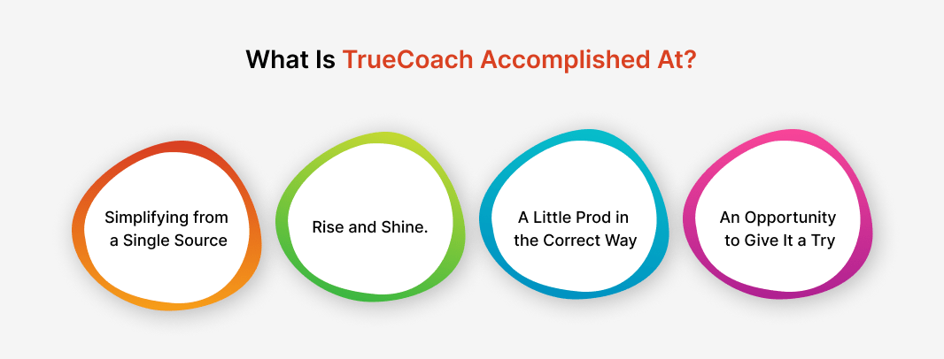 What is TrueCoach Accomplished At?