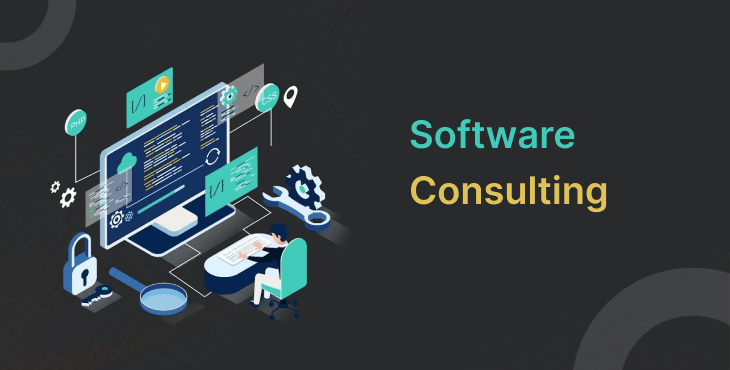 How Software Consulting Drives Business Success?