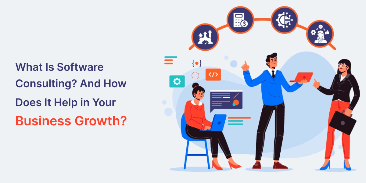 What Is Software Consulting? And How Does It Help in Your Business Growth?