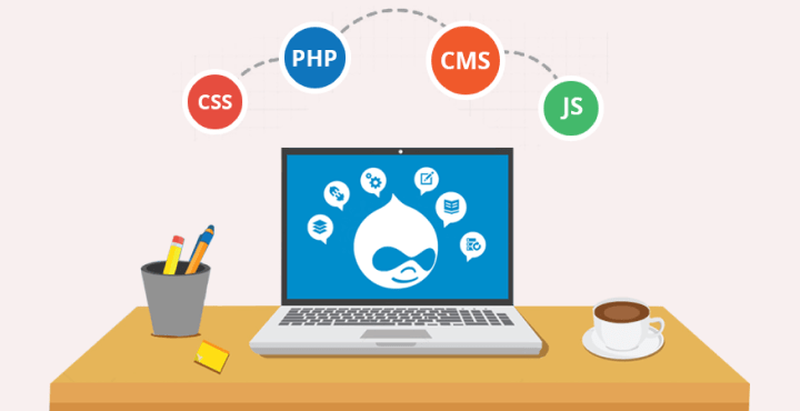 Drupal development agency